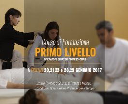 Operatori Shiatsu Primo Livello Formazione Professionale