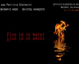 Seminario Hado Shiatsu: Fire in Water